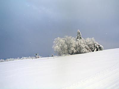 Hochrhönstraße