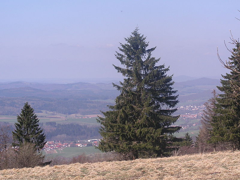 Foto: Volker Gunzenheimer