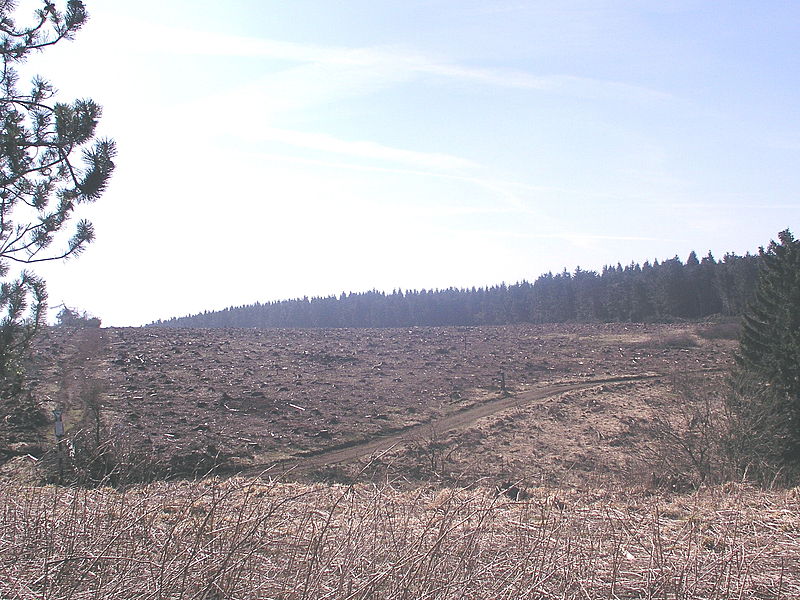 Foto: Volker Gunzenheimer