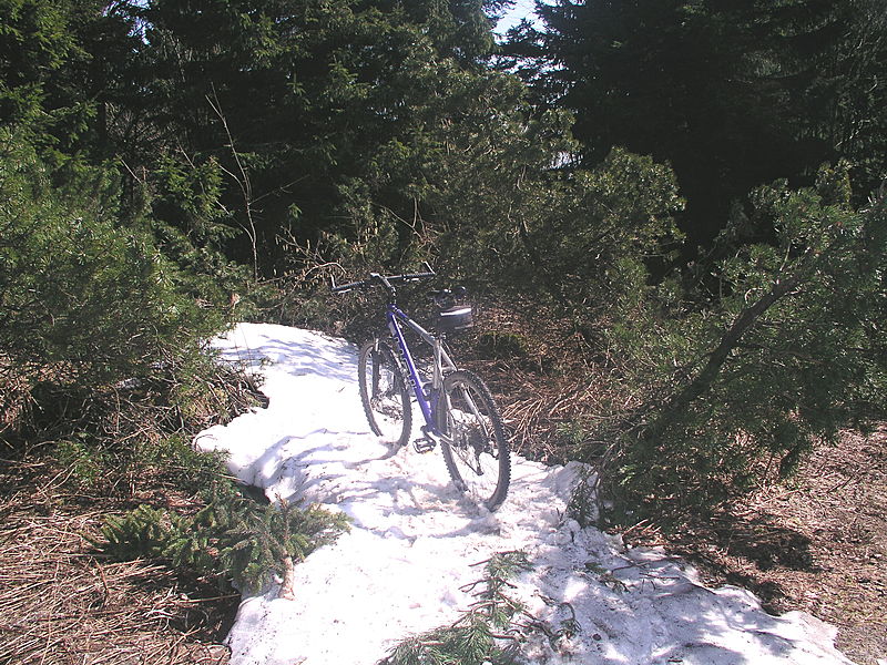 Foto: Volker Gunzenheimer